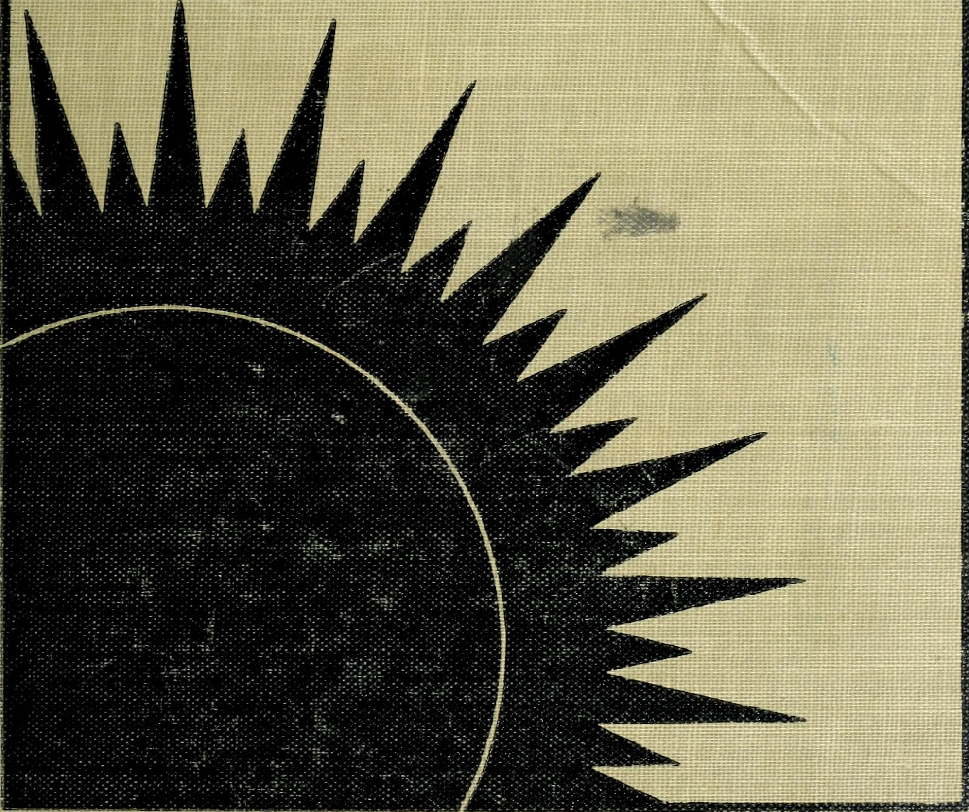 Your Place in the Sun