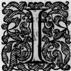 Monarchy Or No Monarchy