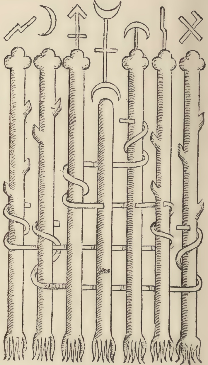 The New Pearl of Great Price